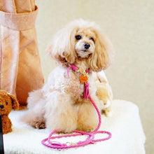 画像をギャラリービューアに読み込む, 組み編みカラー(フューシャピンク)