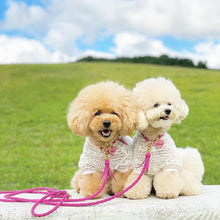 画像をギャラリービューアに読み込む, 組み編みカラー(フューシャピンク)