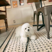 画像をギャラリービューアに読み込む, 組み編みカラー(黒)