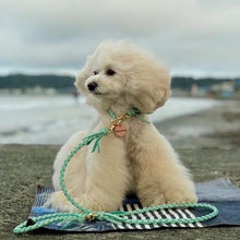 画像をギャラリービューアに読み込む, 組み編みリード(ミントグリーン)