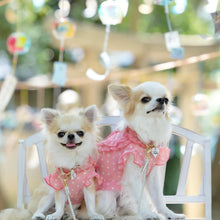 画像をギャラリービューアに読み込む, 組み編みリード(白)