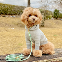 画像をギャラリービューアに読み込む, 組み編みカラー(ミントグリーン)