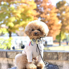 画像をギャラリービューアに読み込む, 組み編みカラー:2色コンビ