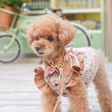 画像をギャラリービューアに読み込む, 組み編みリード(ヌメ)