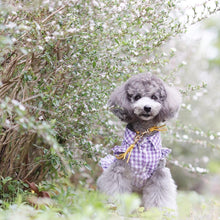 画像をギャラリービューアに読み込む, 組み編みリード(黄色)