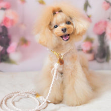 画像をギャラリービューアに読み込む, 組み編みリード(ヌメ)