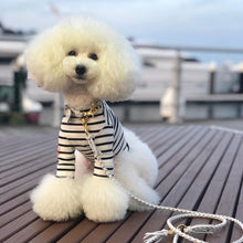 画像をギャラリービューアに読み込む, 組み編みカラー(白)