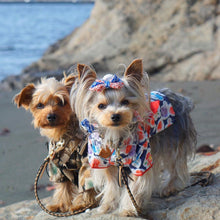 画像をギャラリービューアに読み込む, 組み編みリード:2色コンビ