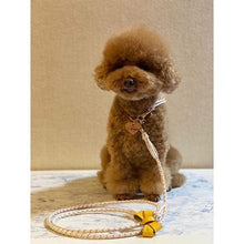 画像をギャラリービューアに読み込む, リボン(黄色)