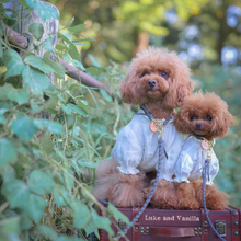 画像をギャラリービューアに読み込む, 組み編みカラー(グレー)