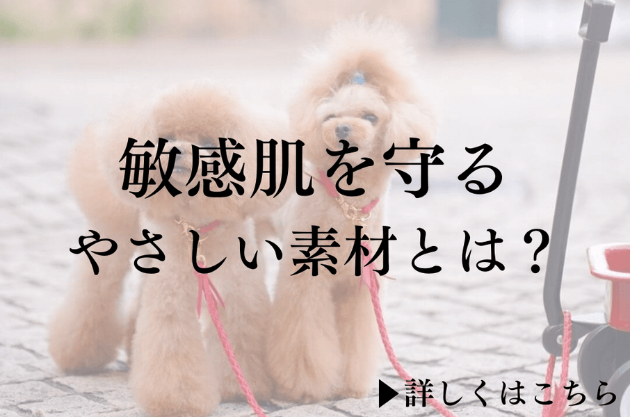 敏感肌の愛犬も安心！首輪の素材でここまで変わる理由