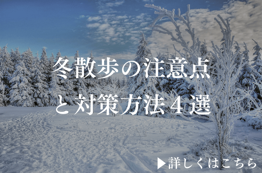 冬のお散歩で気をつけたいポイントと対策方法