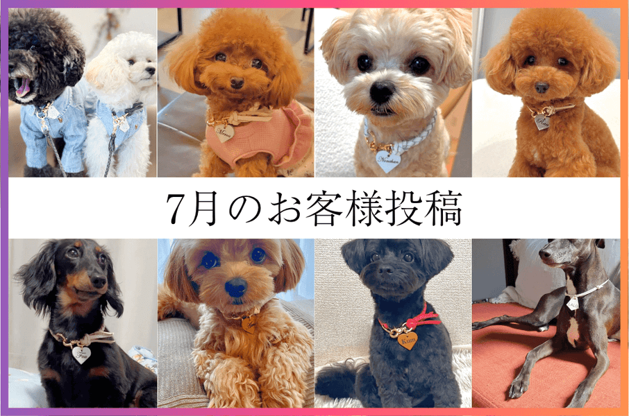 7月のお客様の声