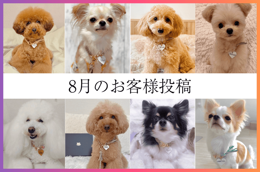 8月のお客様の声