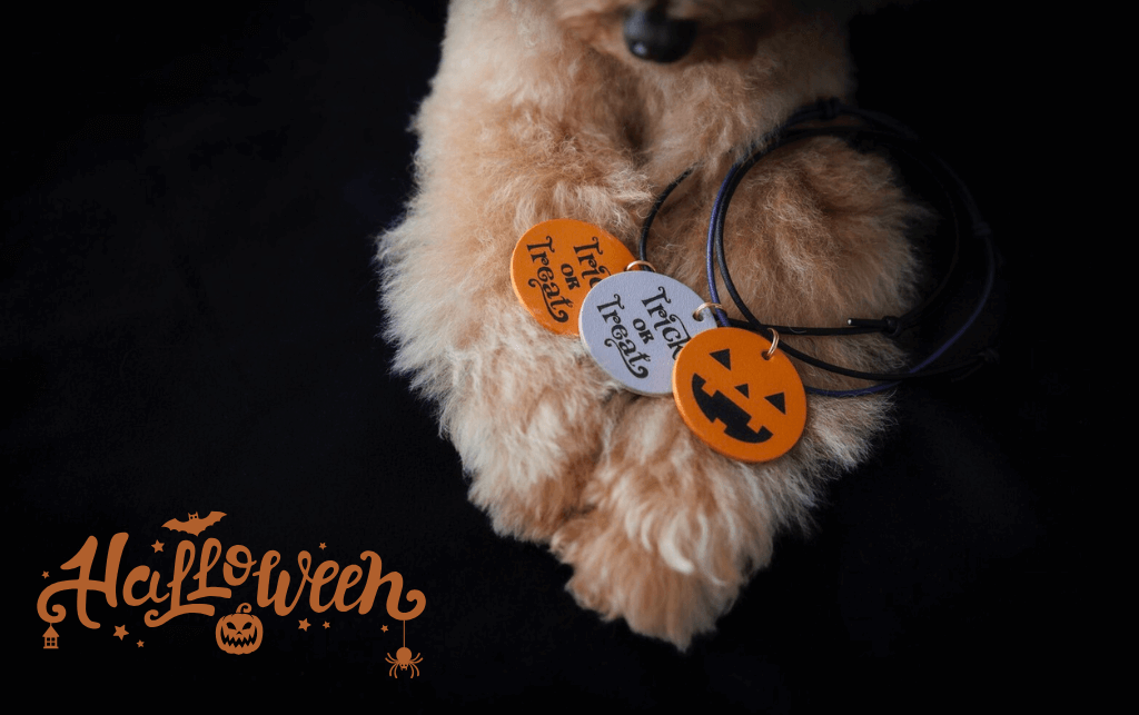 本革 おしゃれな犬の首輪・リード専門店【Woodfield Leather Studio】