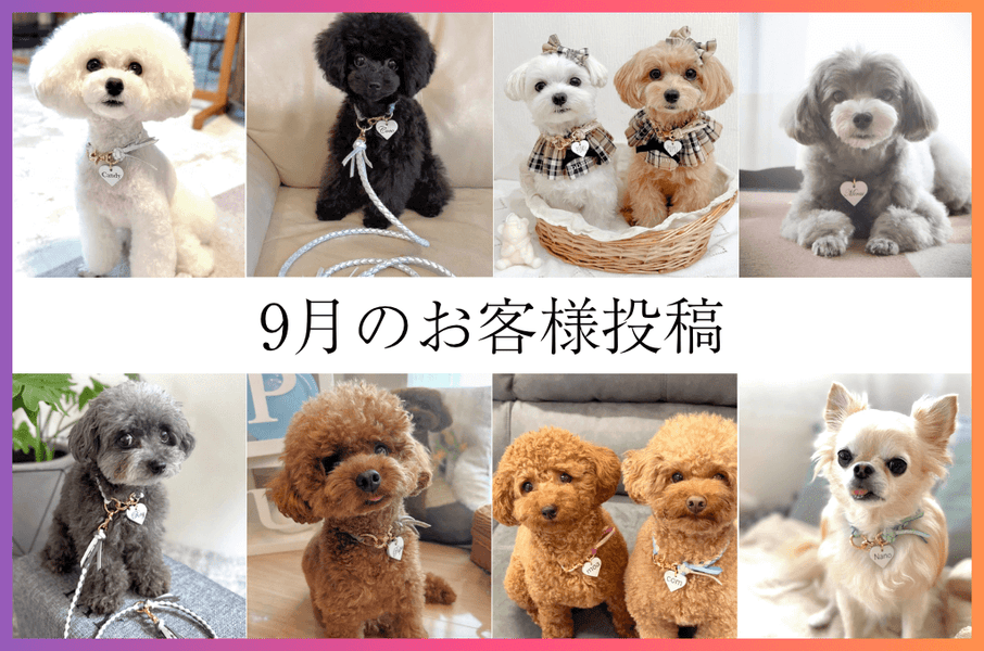 9月のお客様の声