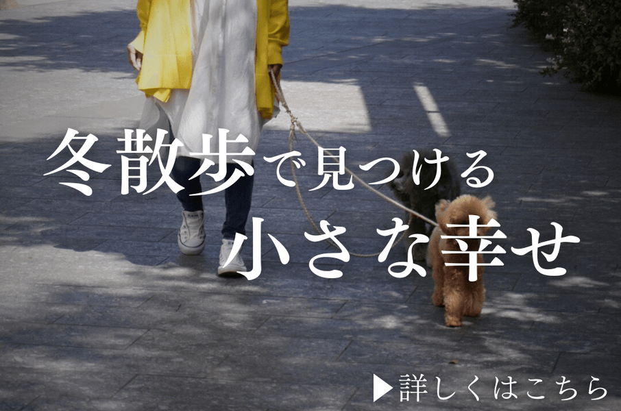 「愛犬との散歩で発見！冬ならではの小さな楽しみ」