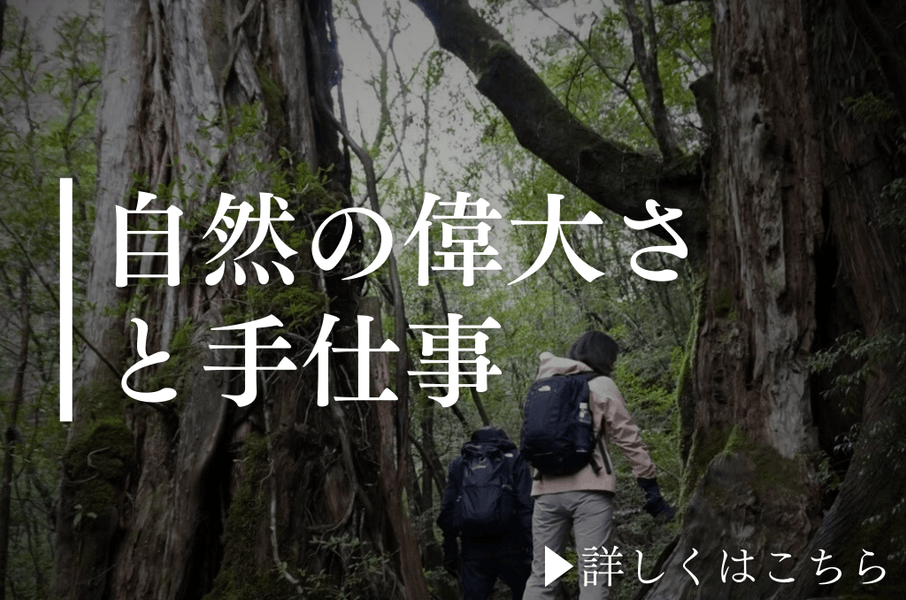 屋久島で感じた大自然の偉大さとウッドフィールドの想い