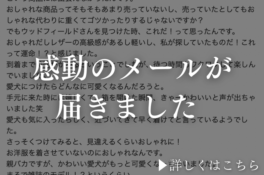 愛犬がおしゃれになった！感動のメールと日本文化の美学