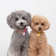 画像をギャラリービューアに読み込む, 組み編みカラー(黄色)
