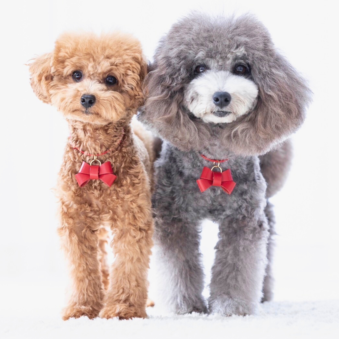 本革の犬用リボン ネックレスに使えるおしゃれアクセサリー 可愛い