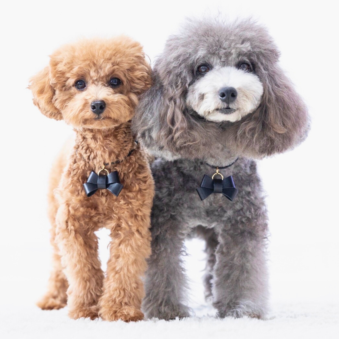 本革の犬用リボン ネックレスに使えるおしゃれアクセサリー 可愛い