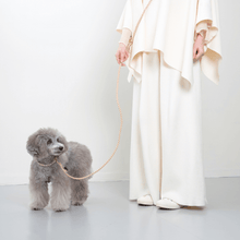 画像をギャラリービューアに読み込む, ショルダーリード
