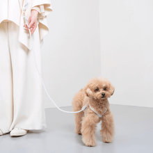 画像をギャラリービューアに読み込む, 組み編みリード(白)
