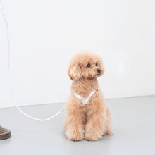 画像をギャラリービューアに読み込む, 組み編みハーネス
