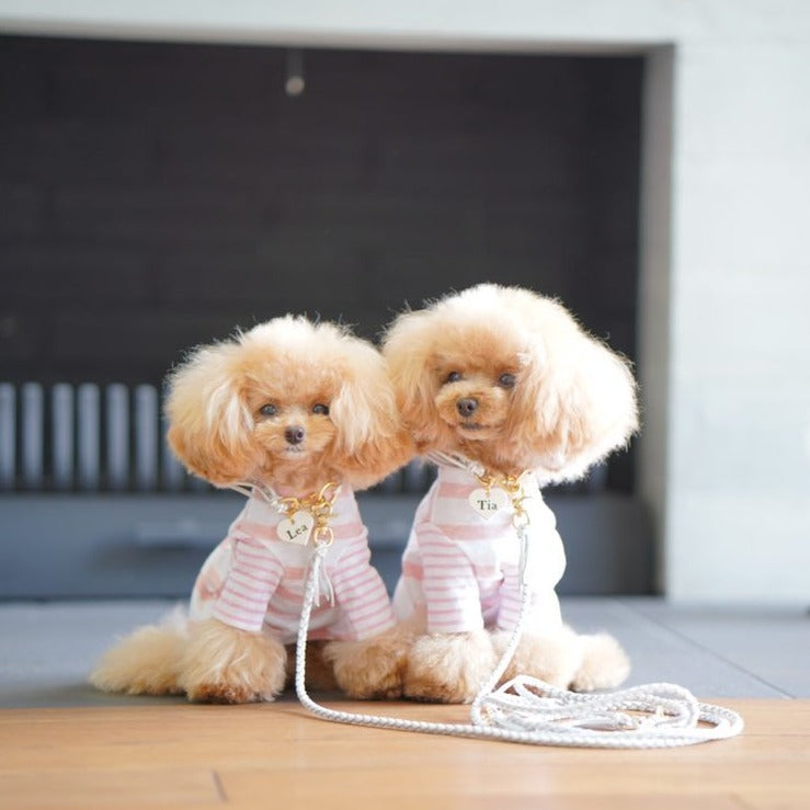 編み込みレザーリード ベージュ Woodfield Leather Studio 本革の犬用