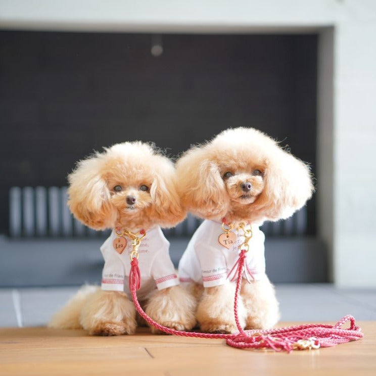 本革の犬用リード おしゃれで人気 可愛いおすすめレザー(赤色/全17色