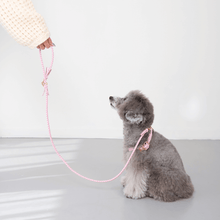 画像をギャラリービューアに読み込む, 組み編みリード(ピンク)
