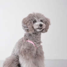 画像をギャラリービューアに読み込む, 組み編みハーネス
