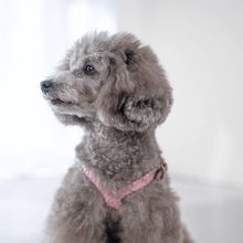 画像をギャラリービューアに読み込む, 組み編みハーネス
