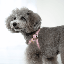 画像をギャラリービューアに読み込む, 組み編みハーネス
