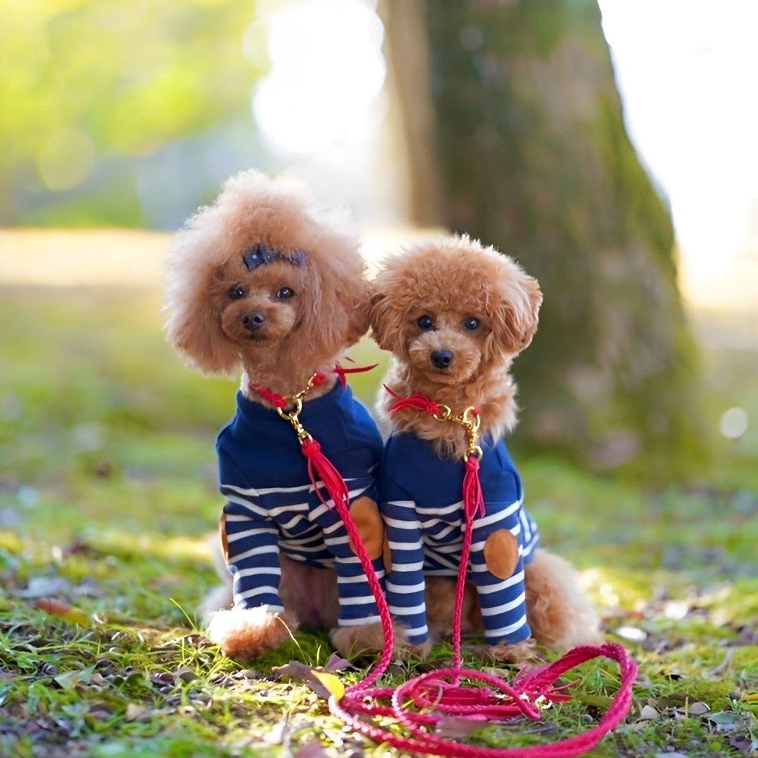 Woodfield✩カラー＆リード 本革の犬用リード おしゃれで人気 可愛いおすすめレザー(赤色/全17色
