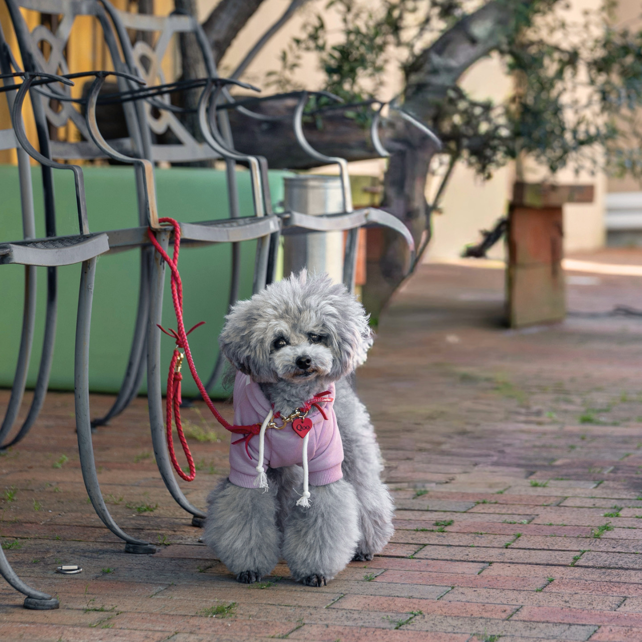 本革の犬用迷子札 おしゃれネームプレート 可愛い名札アクセサリー 本革の犬用迷子札 おしゃれネームプレート 可愛い名札アクセサリー