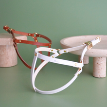 画像をギャラリービューアに読み込む, ハーネス(白)
