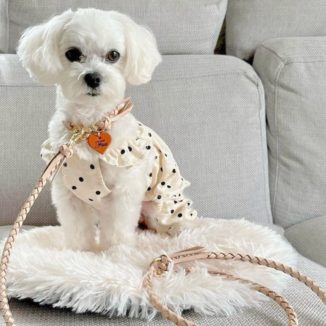 本革の犬用リード おしゃれで人気 可愛いおすすめレザー(ヌメ革