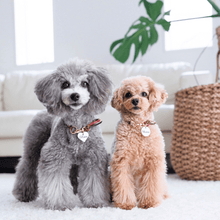 画像をギャラリービューアに読み込む, 組み編みカラー(スローンクリムゾン)※季節限定
