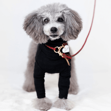 画像をギャラリービューアに読み込む, 組み編みカラー(スローンクリムゾン)※季節限定
