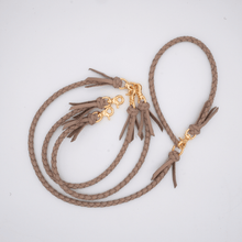 画像をギャラリービューアに読み込む, 2頭引きリード _type2
