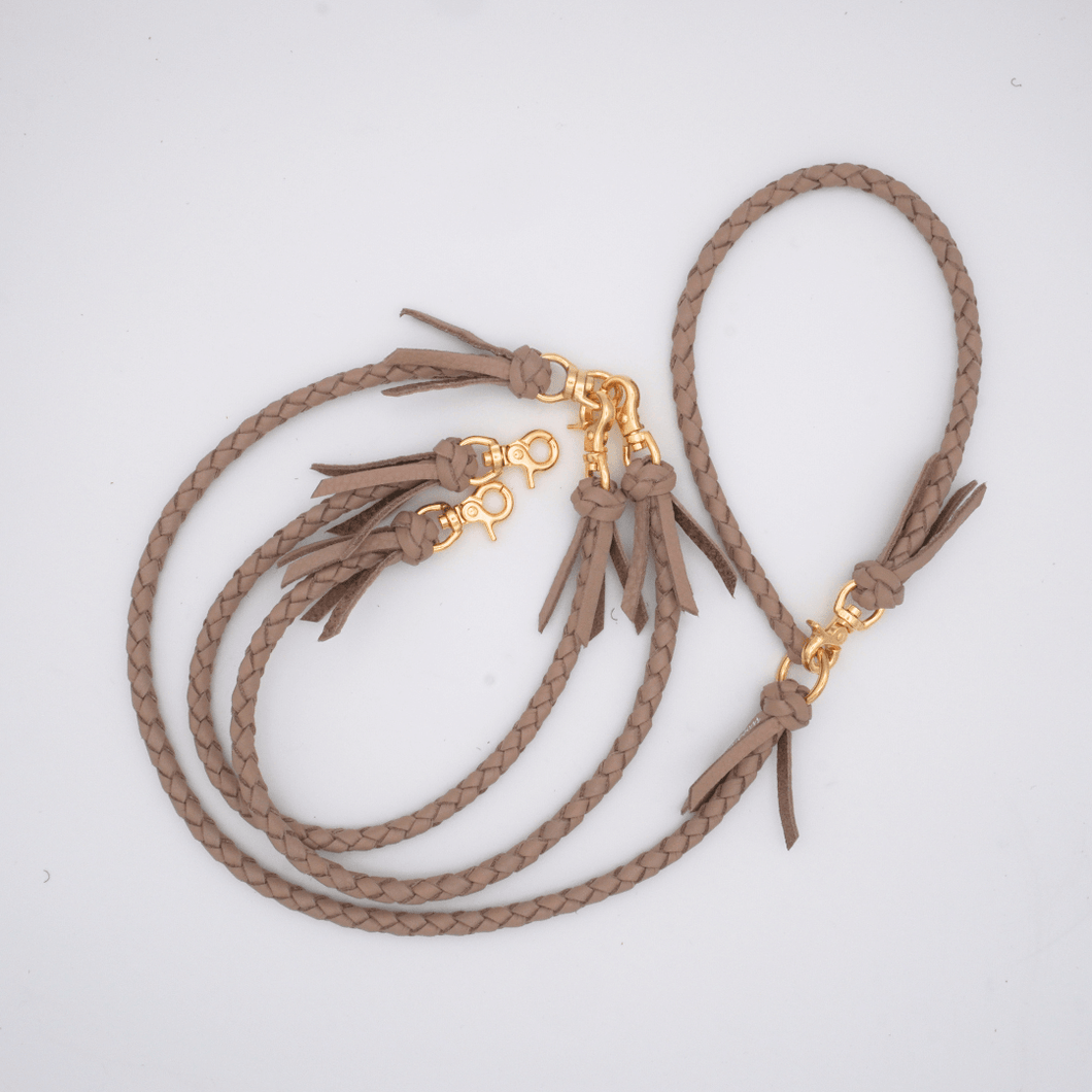 2頭引きリード _type2