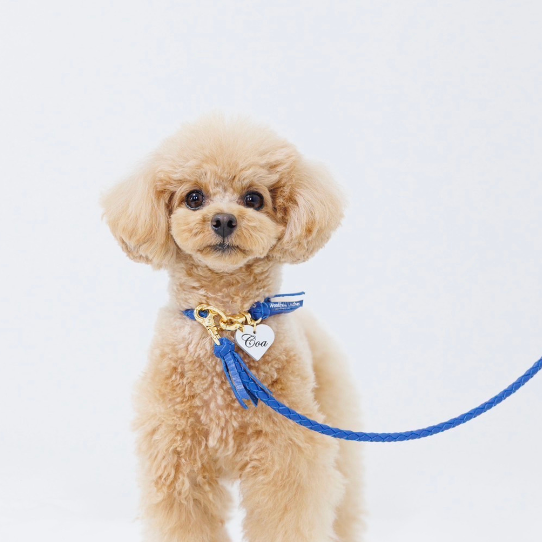 本革の犬用首輪 おしゃれで可愛いチョーカー 名前入り迷子札 首に負担