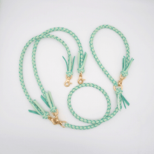 画像をギャラリービューアに読み込む, 2頭引きリード _type2
