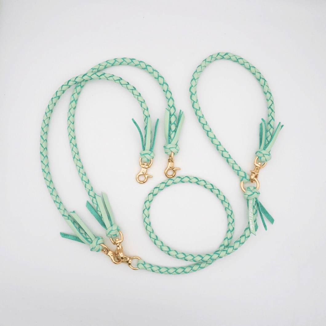 2頭引きリード _type2