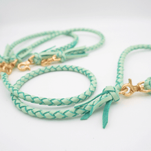 画像をギャラリービューアに読み込む, 2頭引きリード _type2
