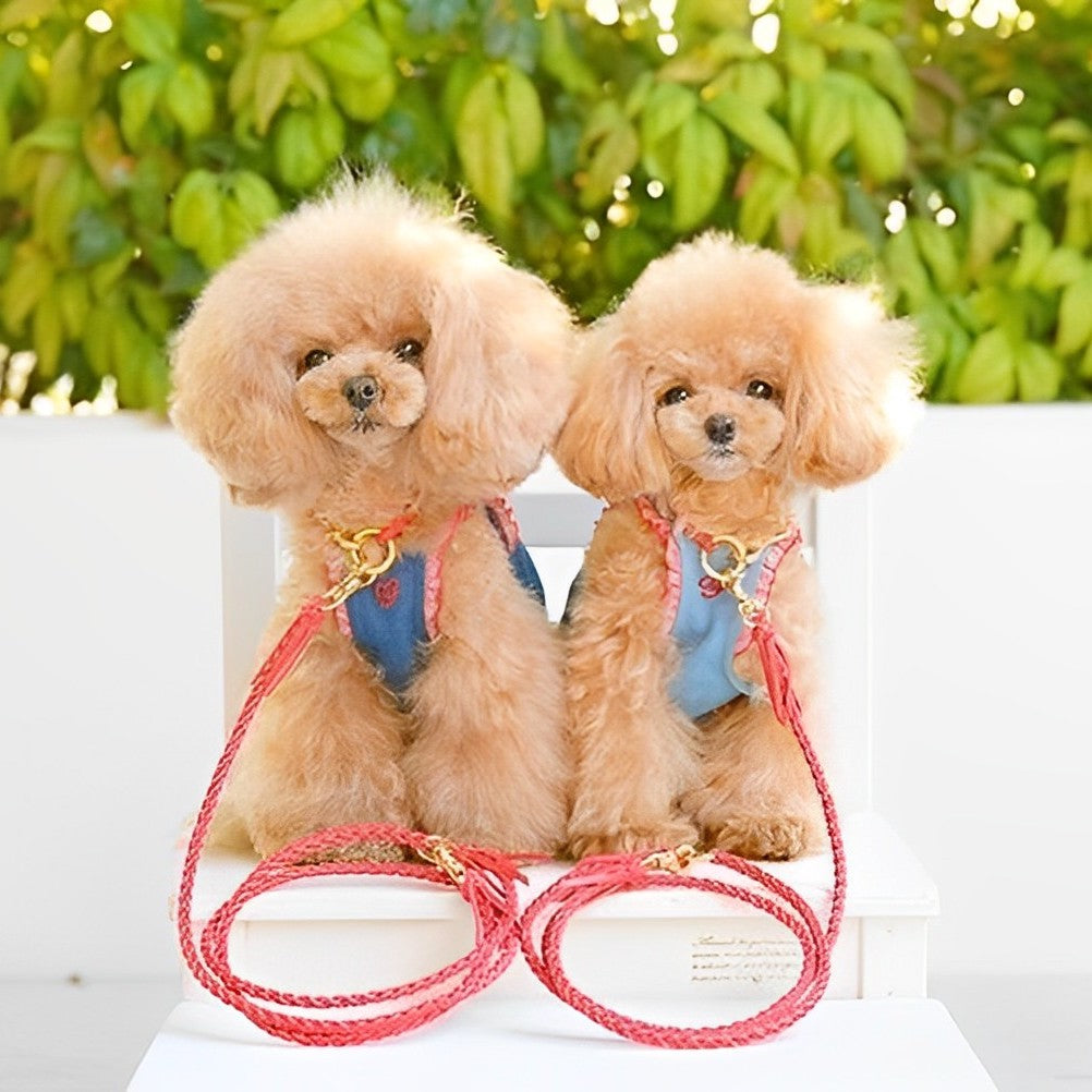 本革の犬用リード おしゃれで人気 可愛いおすすめレザー(赤色/全17色