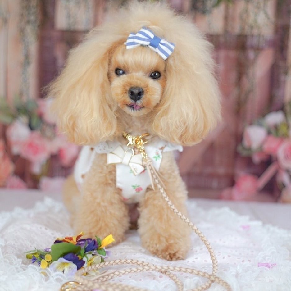 本革の犬用リボン ネックレスに使えるおしゃれアクセサリー 可愛い