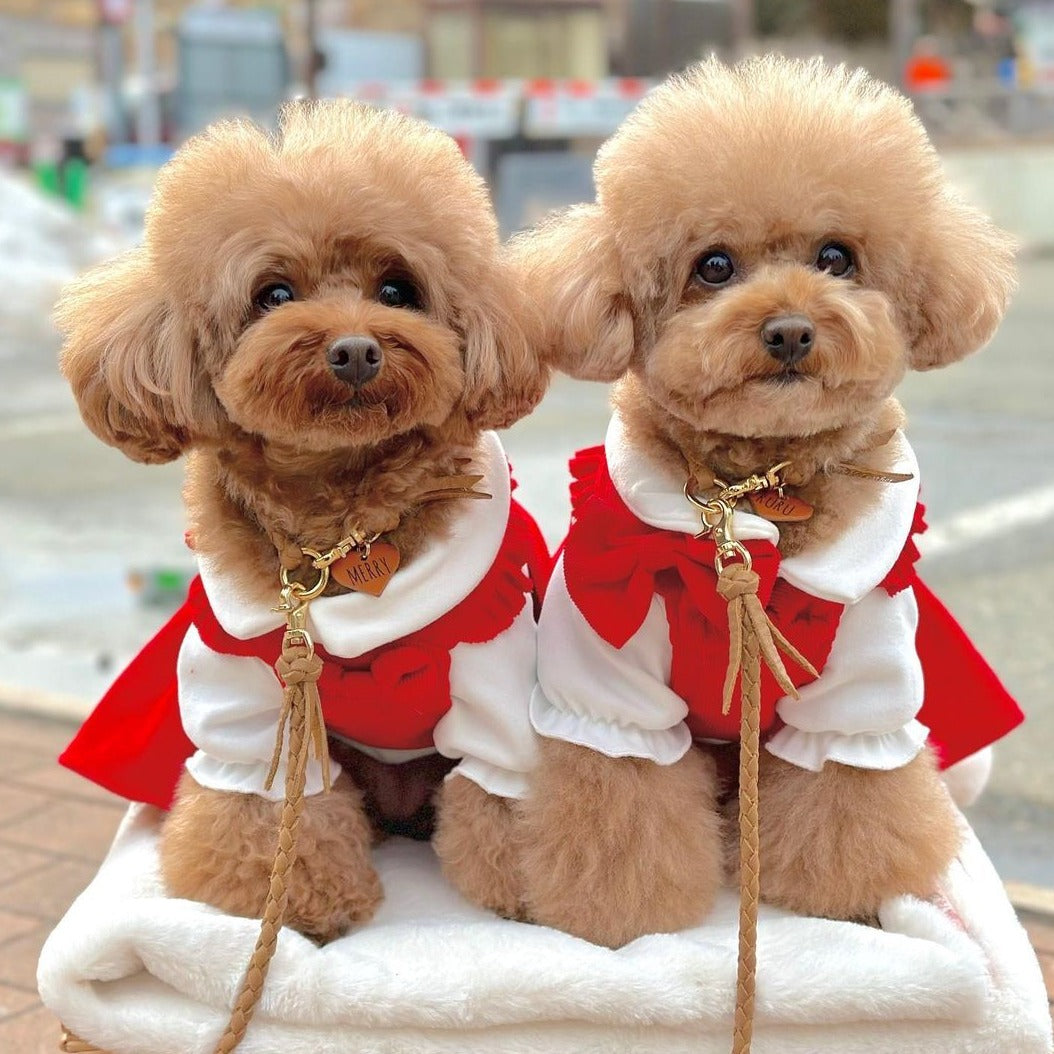 本革の犬用迷子札 おしゃれネームプレート 可愛い名札アクセサリー